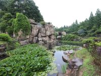 九华山远山简舍民宿 - 酒店附近