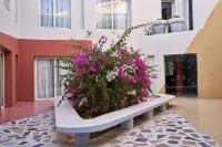 Turtle's Inn El Gouna Hotel di Hurghada