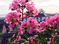 芙蓉客栈(洪江青年店) - 酒店外部