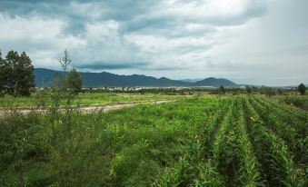 Lijiang Shuhe Snail Inn