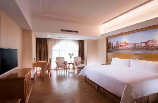 비엔나 호텔 산웨이 훙하이완