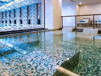 上海新桥绿地铂骊酒店 - 室内游泳池