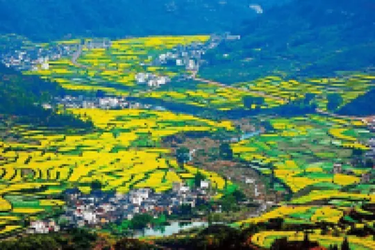 婺源李坑綠園農莊