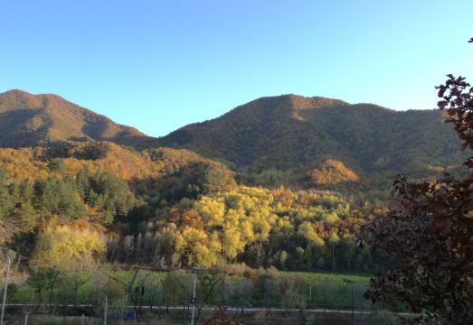 Beijing Wang Yongzhen Farm House