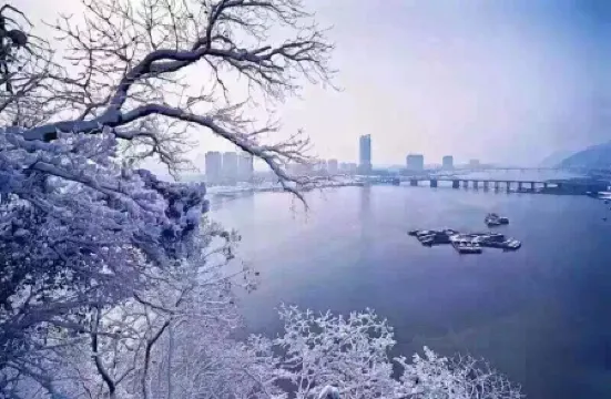 David Hotel Apartment (Tonglu Lishi department store) Отели рядом с достопримечательностью «Binjiang Ecology Park»