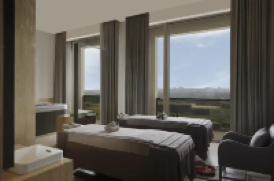 新德里玫瑰園酒店