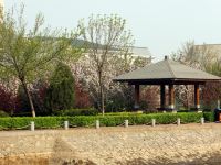 沧州渤海国际酒店 - 花园