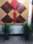 Tiantai Guoxing Homestay