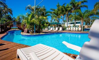 a large outdoor swimming pool surrounded by palm trees , with lounge chairs and umbrellas placed around the pool area at BIG4 Happy Hallidays