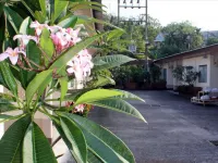 เก้าเส้ง รีสอร์ท โรงแรมในสงขลา