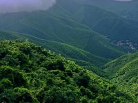 莫干山沐心坊咖啡客栈 - 酒店附近