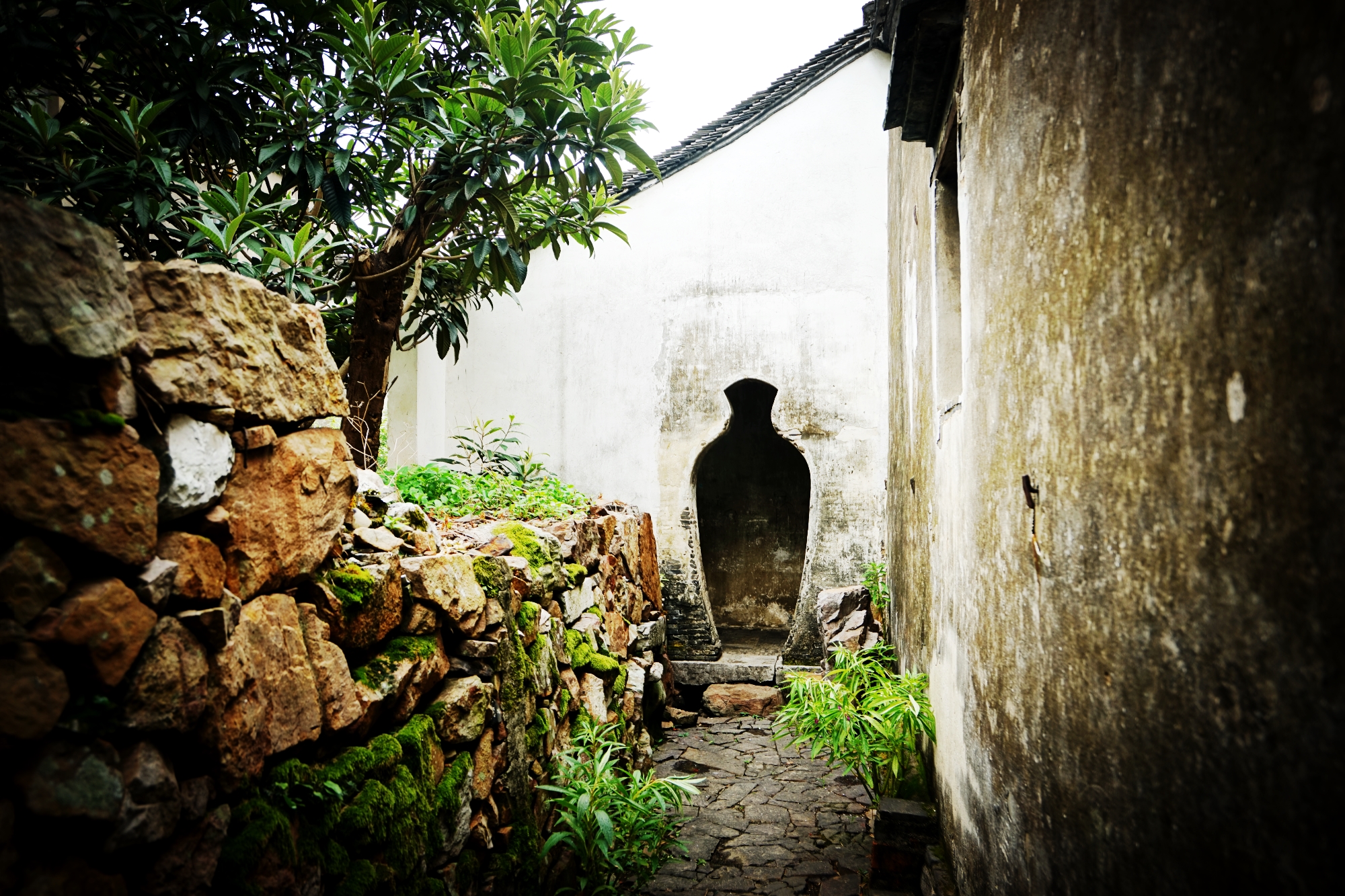 Lane·YunGeOver view