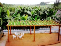 Weizhou Island Sea Home Inn