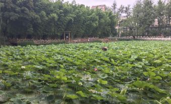 Anshiju Hotel (Kunming Yuantong Mountain Green Lake)