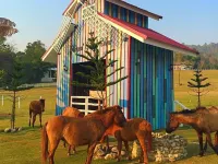 Royal Good View Resort & Farm Hotels near Alpaca Hill
