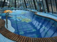 郴州国际会展酒店 - 室内游泳池