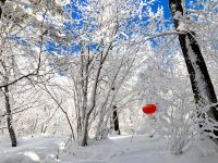 雪谷亮丽家庭旅馆 - 酒店附近