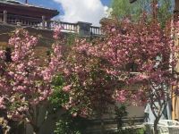 香格里拉倾城一品客栈 - 公共区域