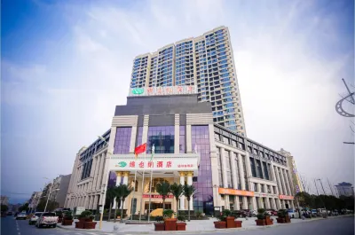 Vienna Hotel (Yueyang Linxiang Government Affairs Center)