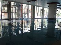 普安森林温泉酒店 - 室内游泳池