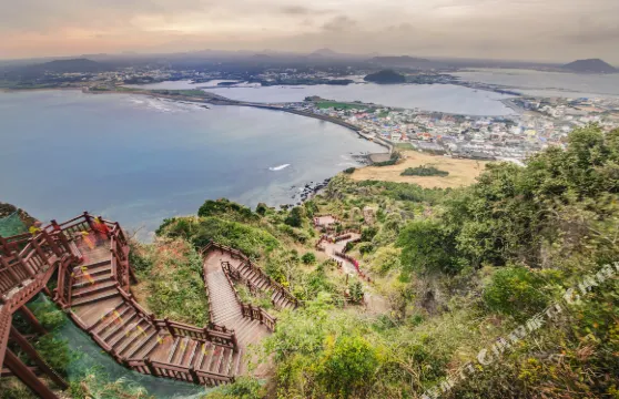 阿羅哈酒店-濟州