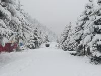 雪乡金龙家庭旅馆 - 其他