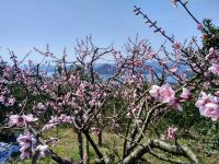 千岛湖仟陌间山野度假民宿 - 酒店附近