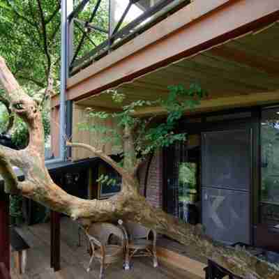 Jiufen Fongigu Homestay Rooms
