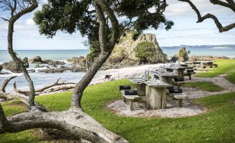 a beach scene with a tree in the foreground , a stone table and chairs on the sand , and a body of water in the background at Rosewood Kauri Cliffs