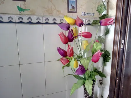 Wugang Jincheng Hotel Отели в г. Уган