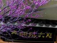 登封照见山居 - 酒店外部