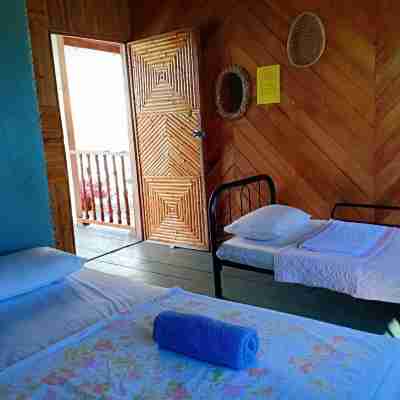 Grand Dive Resort Bum Bum Island Semporna Rooms