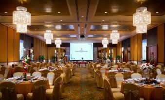 8. Shangri-..