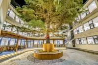 Floral Hotel·Lin Yi Palace Hotels in Qinhuangdao