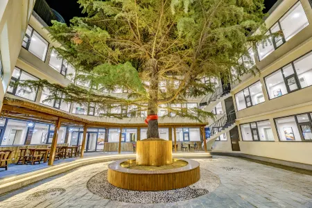 Haonas Hotel (Gezihuo Park Liuzhuang Night Market) Отели рядом с достопримечательностью «Qinhuangdao Safari Park»