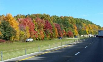 a road surrounded by trees in various colors , with cars parked along the side of the road at Grand Victorian Inn