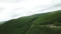 Banshan Nature Homestay (Arxan Tourism Resort Area) - Mountain view