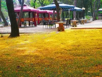 Friendship Hotel Hotels in East Beach. Biluota Bar Park