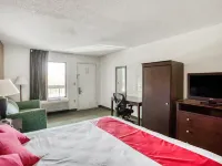 Econo Lodge Hotel a Concord