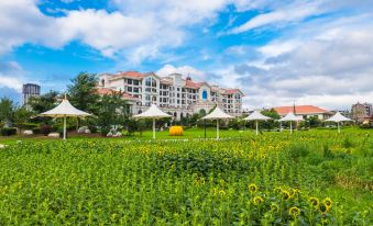 Country Garden Phoenix Hotel Shenyang