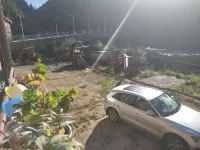 Seda Gesang Flower Collector Hotel