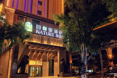 Nature Inn Отели в г. Синьинг