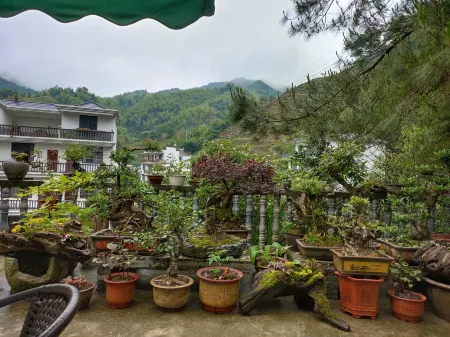 Kaihua Luoshishan Homestay Отели рядом с достопримечательностью «Qianjiangyuan National Forest Park»