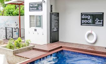 Ketawa Pet Friendly Hotel