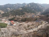 青岛长生谷民宿 - 酒店附近