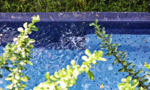 Yellow Pillow Village