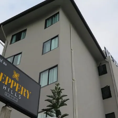 Peppery Hills Hotel Отели рядом с Аэропорт Чиангмай