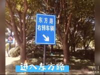 仁泰商务酒店(上海东方明珠新国际博览中心店) - 酒店附近