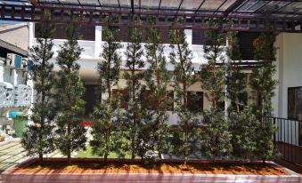 Mclane Boutique Hotel