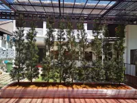 맥 레인 부티크 호텔 카피탄 켈링 이슬람사원 주변 호텔